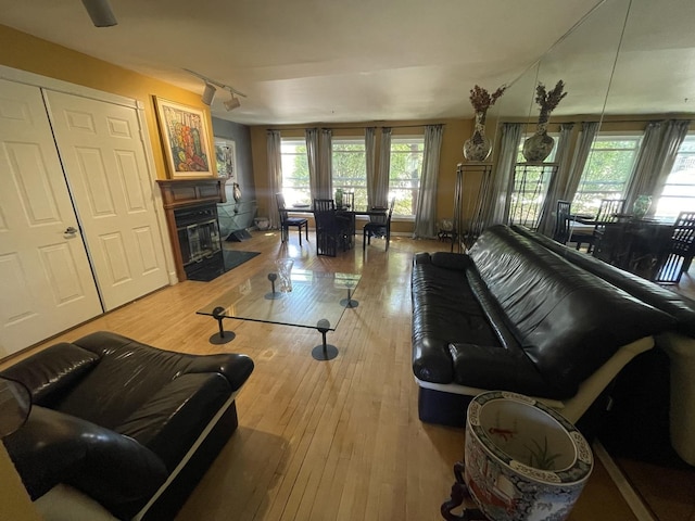 1027 W Vernon Park Pl Unit B, Chicago, IL 60607 - living area with hardwood / wood-style floors, track lighting, and plenty of natural light