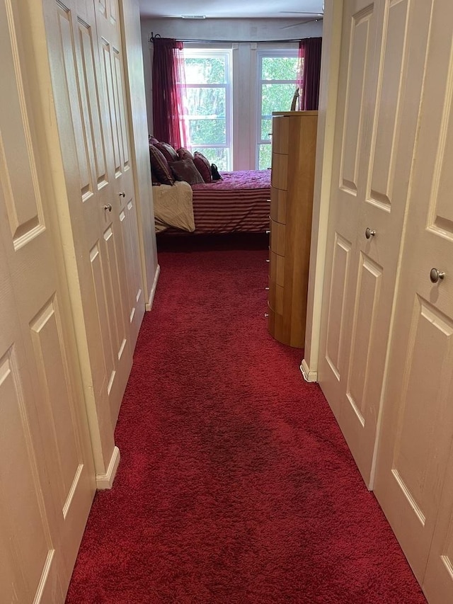 1027 W Vernon Park Pl Unit B, Chicago, IL 60607 - hall with dark carpet