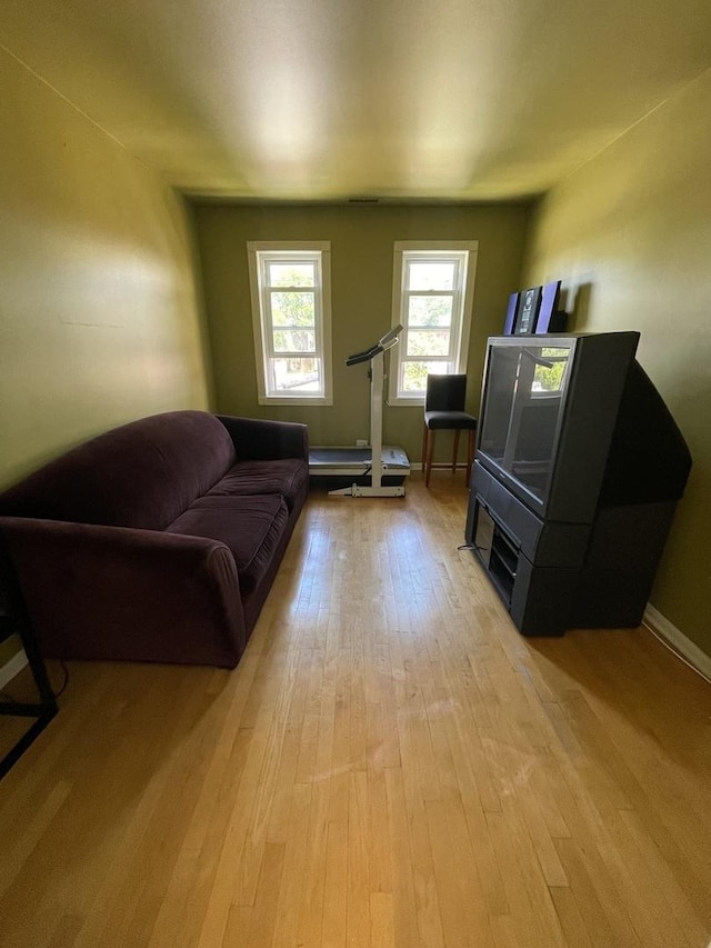 1027 W Vernon Park Pl Unit B, Chicago, IL 60607 - living room with light wood finished floors