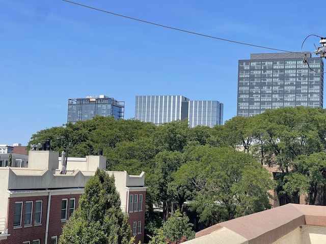 1027 W Vernon Park Pl Unit B, Chicago, IL 60607 - view of city