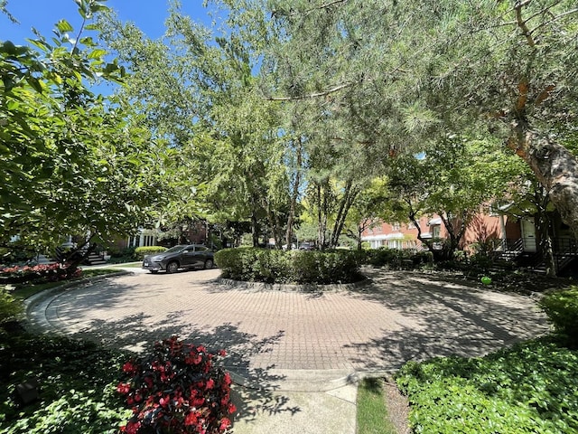 1027 W Vernon Park Pl Unit B, Chicago, IL 60607 - view of yard