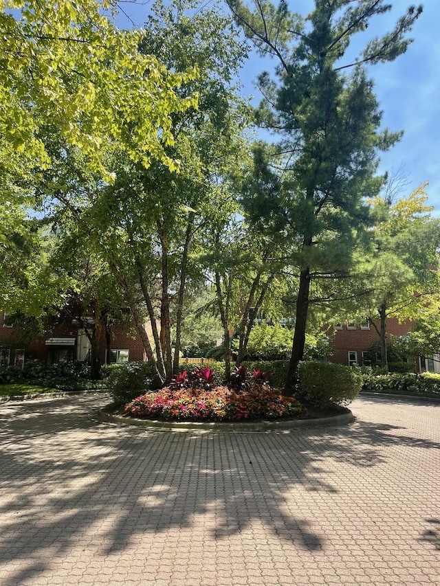 1027 W Vernon Park Pl Unit B, Chicago, IL 60607 - view of community