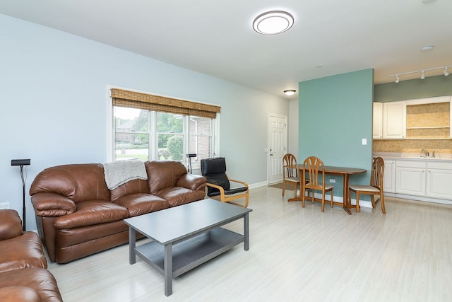 15442 W Purley Ct, Homer Glen, IL 60491 - living area featuring light wood finished floors and track lighting