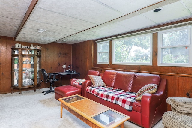 6308 Saratoga Ave, Downers Grove, IL 60516 - photo 20