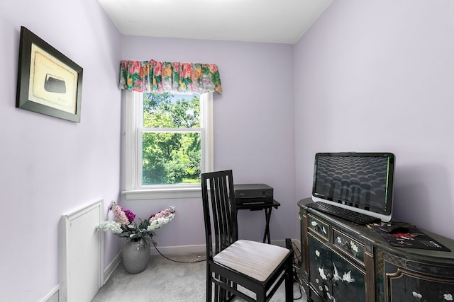 400 Selborne Rd, Riverside, IL 60546 - office area with carpet flooring and baseboards