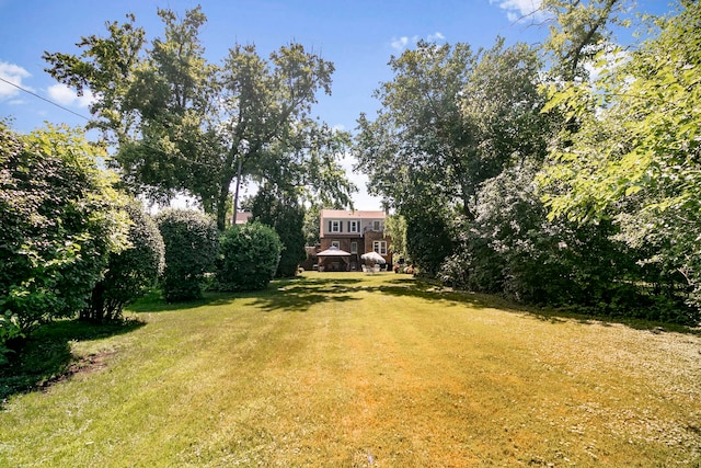 400 Selborne Rd, Riverside, IL 60546 - view of green lawn featuring a gazebo