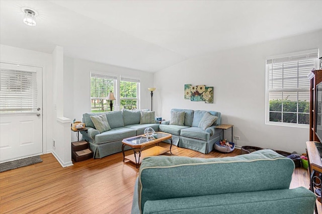 93 W Essington Dr Unit 93, Round Lake, IL 60073 - living room featuring light wood finished floors and lofted ceiling