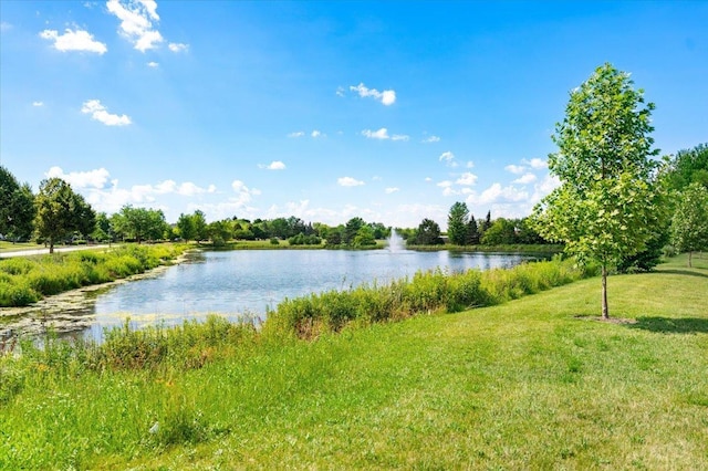 93 W Essington Dr Unit 93, Round Lake, IL 60073 - water view