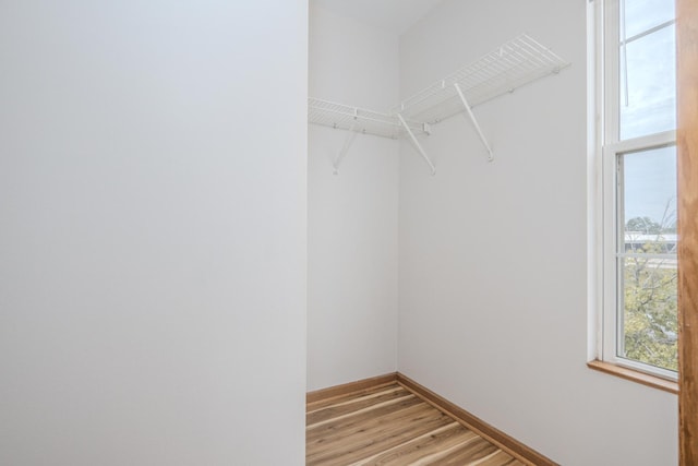 1501 Simms St, Aurora, IL 60504 - walk in closet with light wood-style flooring