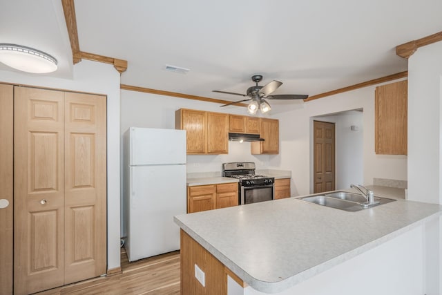 1501 Simms St, Aurora, IL 60504 - kitchen with freestanding refrigerator, stainless steel range with gas stovetop, under cabinet range hood, a peninsula, and crown molding