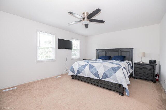 1257 Downing St, Roselle, IL 60172 - photo 11
