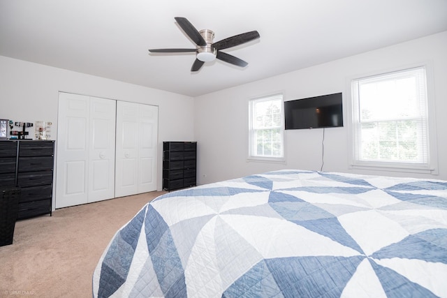 1257 Downing St, Roselle, IL 60172 - photo 13
