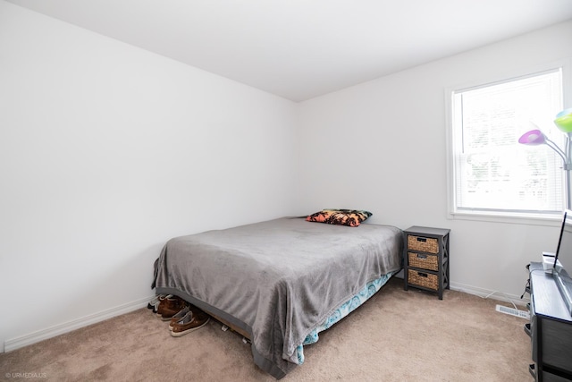 1257 Downing St, Roselle, IL 60172 - photo 15