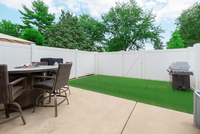 1257 Downing St, Roselle, IL 60172 - photo 17