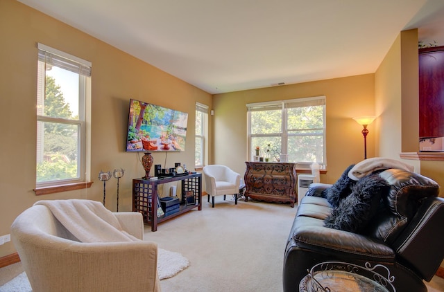 381 Chesapeake Ln, Oswego, IL 60543 - living room with healthy amount of natural light and carpet floors