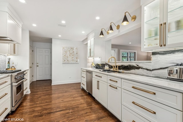261 Woodstock Ave, Glen Ellyn, IL 60137 - kitchen featuring stainless steel appliances, light stone counters, dark wood-style flooring, white cabinetry, and glass insert cabinets
