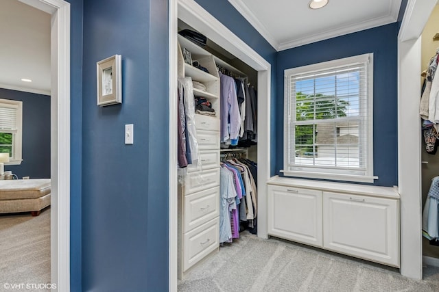261 Woodstock Ave, Glen Ellyn, IL 60137 - spacious closet with light carpet