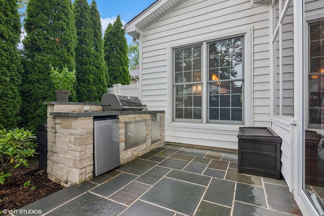 261 Woodstock Ave, Glen Ellyn, IL 60137 - view of patio with an outdoor kitchen