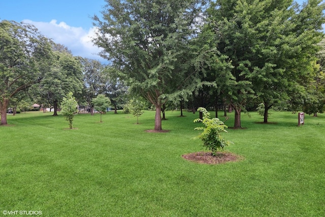 261 Woodstock Ave, Glen Ellyn, IL 60137 - view of grassy yard