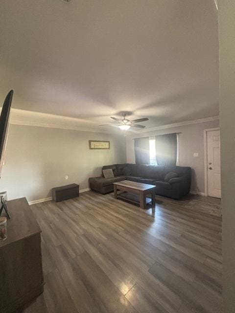 502 Kenyon Ave, Romeoville, IL 60446 - photo 11