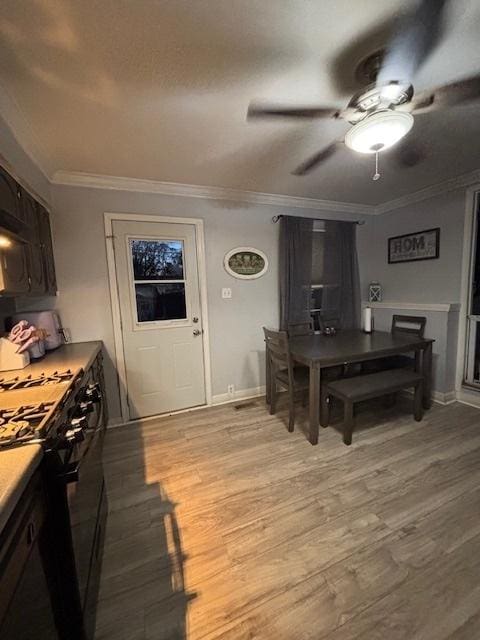 502 Kenyon Ave, Romeoville, IL 60446 - photo 7