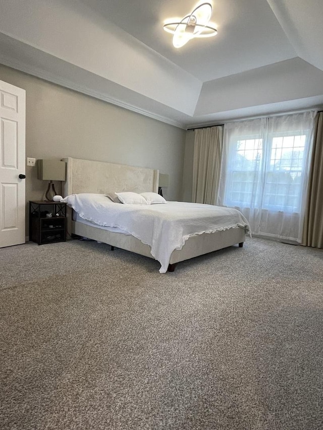 412 Merry Oaks Rd, Streamwood, IL 60107 - bedroom with a raised ceiling and carpet floors