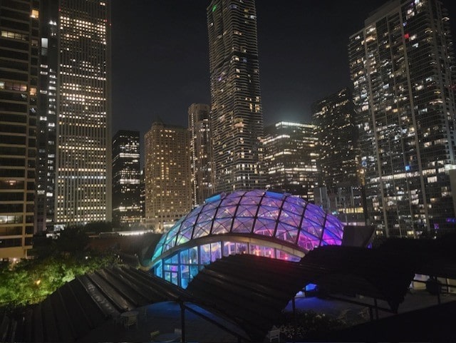 400 E Randolph St Unit 826, Chicago, IL 60601 - view of city featuring a view of city lights