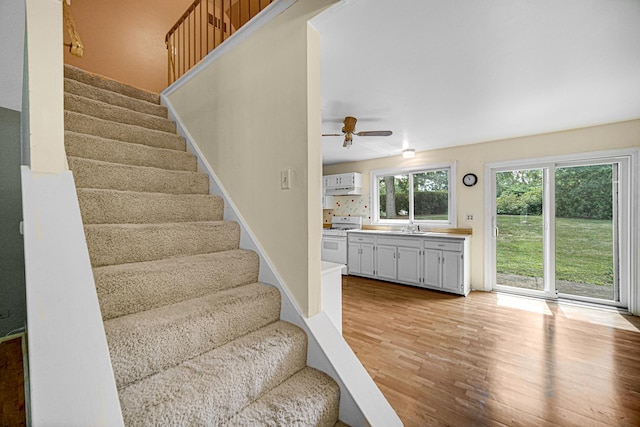 29W409 White Oak Dr, Warrenville, IL 60555 - staircase with wood finished floors and a ceiling fan