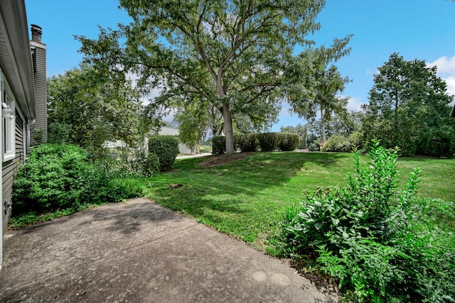 29W409 White Oak Dr, Warrenville, IL 60555 - view of green lawn