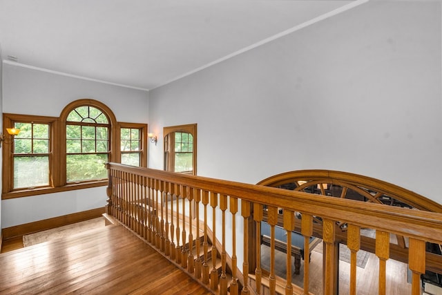 225 Hamilton St, Evanston, IL 60202 - photo 18