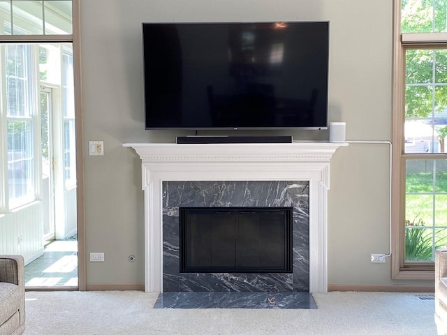 1920 Waverly Cir, Saint Charles, IL 60174 - detailed view of a fireplace and carpet
