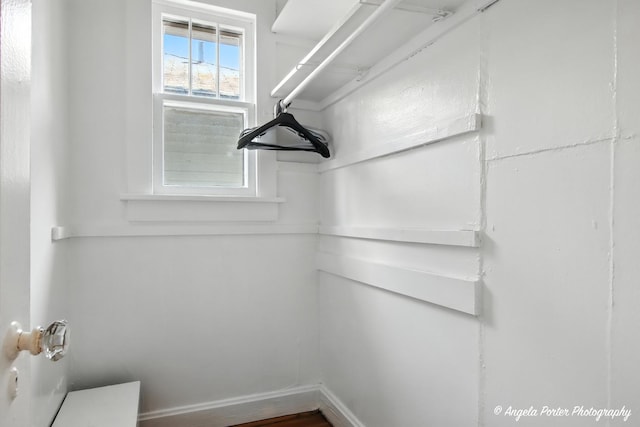 67 Wells St, Fox Lake, IL 60020 - view of spacious closet
