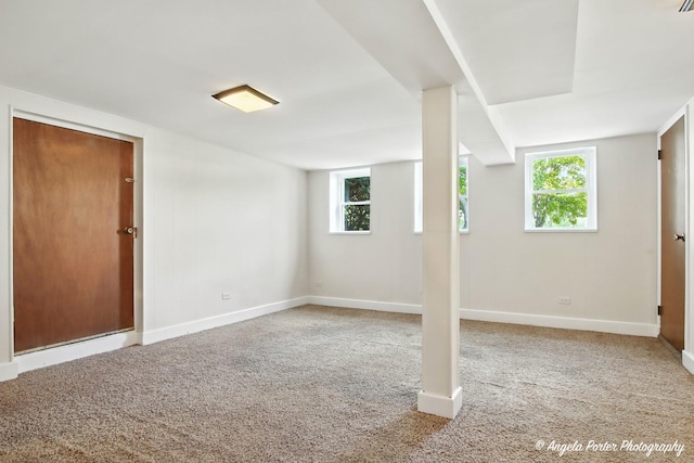 67 Wells St, Fox Lake, IL 60020 - basement featuring carpet flooring and plenty of natural light