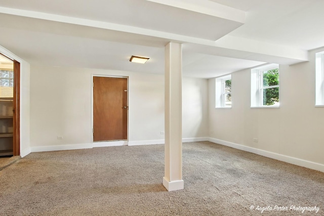 67 Wells St, Fox Lake, IL 60020 - below grade area featuring carpet