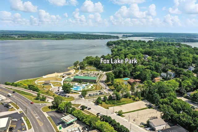 67 Wells St, Fox Lake, IL 60020 - aerial view of a large body of water