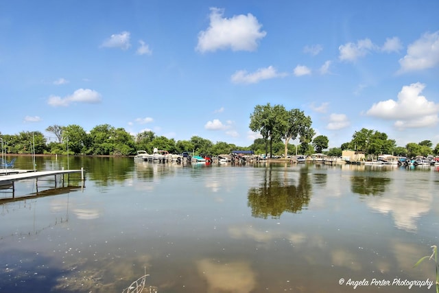 67 Wells St, Fox Lake, IL 60020 - water view with a boat dock