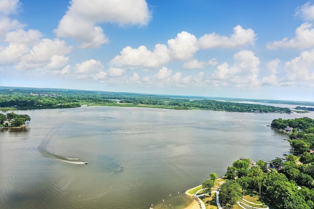 67 Wells St, Fox Lake, IL 60020 - water view