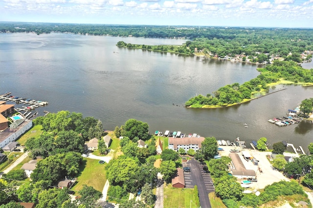 67 Wells St, Fox Lake, IL 60020 - aerial view of a large body of water