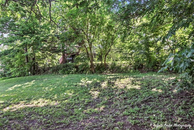 67 Wells St, Fox Lake, IL 60020 - view of grassy yard featuring a view of trees