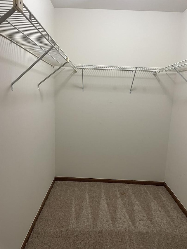 124 White Oak Ct Unit 2, Schaumburg, IL 60195 - spacious closet featuring carpet
