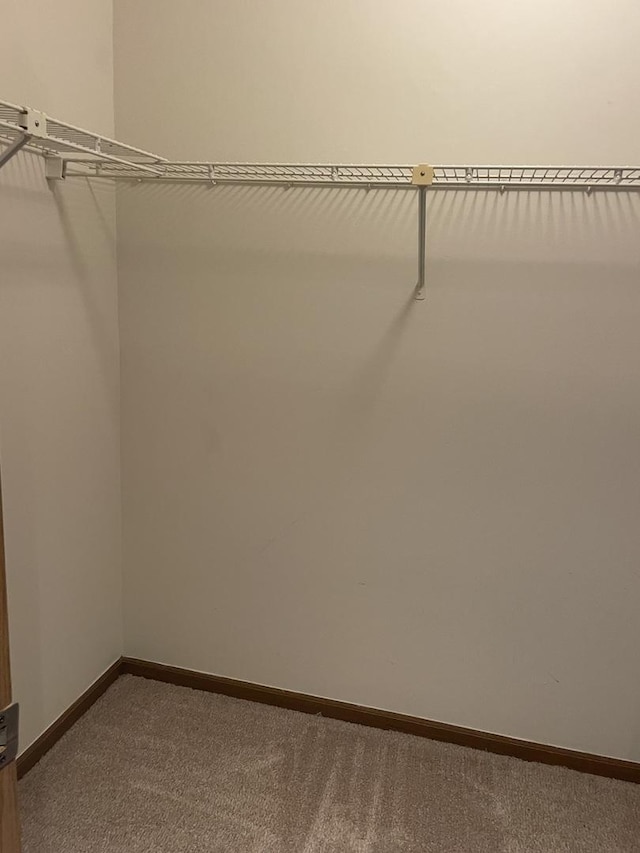 124 White Oak Ct Unit 2, Schaumburg, IL 60195 - spacious closet with dark colored carpet