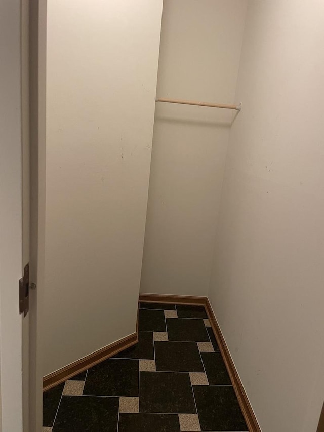 124 White Oak Ct Unit 2, Schaumburg, IL 60195 - spacious closet with tile patterned floors