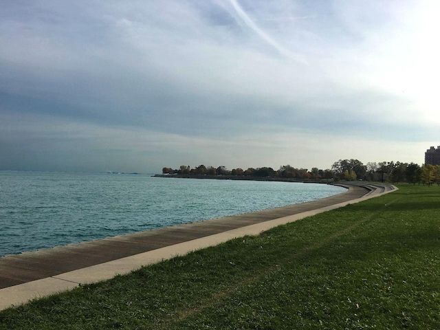 6415 S Kimbark Ave Unit 3, Chicago, IL 60637 - water view