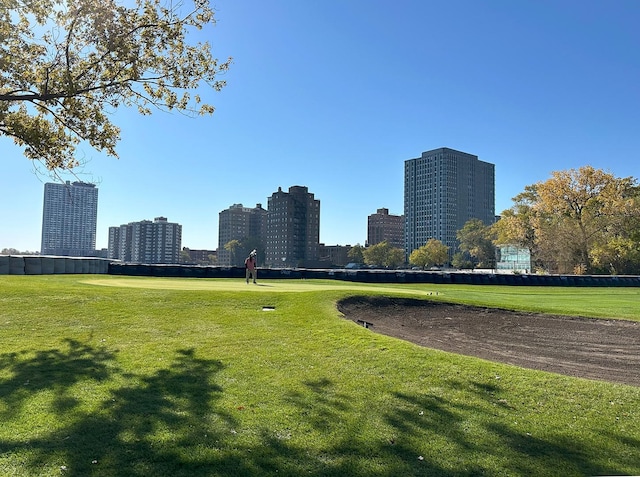 6415 S Kimbark Ave Unit 3, Chicago, IL 60637 - view of home's community featuring a view of skyline and a yard