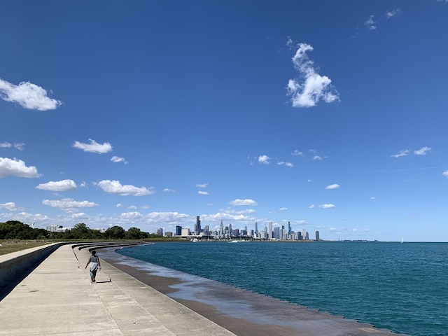 6415 S Kimbark Ave Unit 3, Chicago, IL 60637 - view of swimming pool featuring a water view and a view of skyline