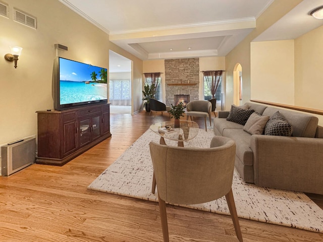 807 Wedgewood Ct, Lindenhurst, IL 60046 - living room featuring light wood finished floors, a tray ceiling, healthy amount of natural light, a stone fireplace, and ornamental molding