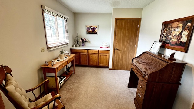 500 Jenkran Way Unit 2, Morrison, IL 61270 - living area featuring light colored carpet and a textured ceiling