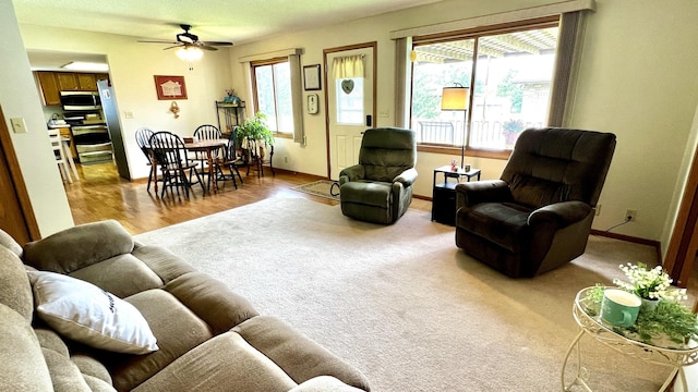 500 Jenkran Way Unit 2, Morrison, IL 61270 - living area featuring ceiling fan and wood finished floors