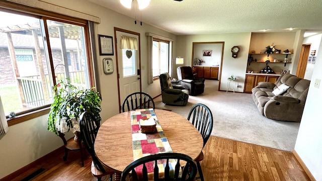 500 Jenkran Way Unit 2, Morrison, IL 61270 - dining area featuring healthy amount of natural light, ceiling fan, a textured ceiling, and wood finished floors