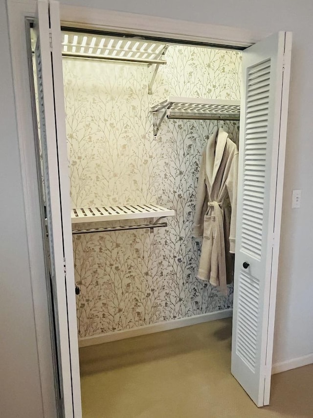 441 Highland Ave, Crystal Lake, IL 60014 - view of spacious closet